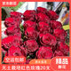Jingdong Flowers Boutique Water-cultured Soilless Culture New Year's Eve Flowers Valentine's Day Limited Red Roses 20 Pack 45CM+ Straight from the Source
