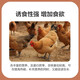 4% broiler compound premix native chicken young chicken premix growth promotion feed for large, medium and small chickens 1 bag_chick premix