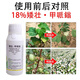 Genuine dwarf cotton control growth regulator, control dwarfing, resistance to lodging, stress resistance, improve quality, ready-made, 500g*4 bottles