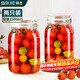 Baijie glass sealed jar storage bottle wine container glass bottle honey bottle can bottle pickle jar 1500ml*2