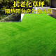 Simulated lawn carpet, artificial fake lawn, plastic green balcony, outdoor kindergarten bedding, courtyard artificial turf, environmentally friendly new material, 2cm encrypted spring grass, 1 meter wide*2 meters long