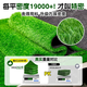 Simulated turf, artificial turf carpet, outdoor floor matting, football field artificial turf, plastic fake turf fence, Su Chao same style green adhesive, 2.5cm thick, 18-pin sample, 0.3cm*0.3cm
