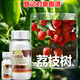 6% oxyfluorfen, special shoot control drug for lychees, lychee fruit tree killing and flowering agent for winter shoots, 200ml