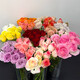 Carnation flowers Yunnan base straight hair Goddess Day gift bouquet multi-color flowering period long Chinese Valentine's Day gift 3 random color roses 10