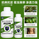 Qingyuan 180 special orchard clearing agent for fruit trees, peach, plum, grape, orange tree greenhouse fungicide and insecticide special medicine 500g*10 bottles