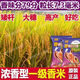 Wangyuanxing first-class rare and fragrant 11 fragrant high-yielding hybrid rice seeds, fragrant rice, high-quality long-grain rice, disease-resistant and high-yielding rice seeds, authentic first-class fragrant rice, long-grain, strong-flavor type, short stems and lodging-resistant, original and authentic, transplanting one acre of land (1 Jin Jin is equal to 0.5 kg) and free fungicide