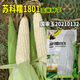 Trailer head Sukenuo 1801 white corn seed, national approval white sweet glutinous rice sticky glutinous cob seed, Datian Jie, Changfeng Sukenuo 1801 corn 200g/bag