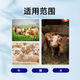 Banqing Granular Veterinary Honeysuckle Crude Extract Poultry and Chicken Feed Additive for Pigs, Cattle, and Sheep Pregnant Livestock 1000g/bag Banqing Granule 4 bags