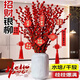 Xingxiang silver willow fresh branches New Year's Eve flowers red silver willow 60cm high 30 pieces + random cards not including pots straight from the source