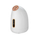 Avode facial steamer, hot and cold dual-spray facial household moisturizing nano-spray hydration device, fully upgraded hot and cold facial steamer, hot and cold dual-spray pure white Z16