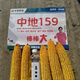 Nationally approved Zhongdi 159 corn seeds 5800 grains, original packaging with strong disease resistance in the third zone, nationally approved Zhongdi 159 seeds 5800 grains/bag