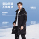 Flying in the Snow Autumn and Winter New Fashion Casual and Comfortable Silhouette Men's H-Type Printed Stand Collar Hooded Down Jacket for Men Black|8056 L/175/96A