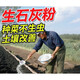 Yusenyi Vegetable Growing Quicklime Powder Disinfection Insecticide and Repellent Desiccant Improve Water Quality Improve Soil Mildew and Disease Prevention Quicklime Powder 5Jin Jin is equal to 0.5kg