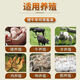 Banqing Granular Veterinary Honeysuckle Crude Extract Poultry and Chicken Feed Additive for Pigs, Cattle, and Sheep Pregnant Livestock 1000g/bag Banqing Granule 4 bags
