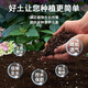 Nutrient soil for growing vegetables, organic orchids, succulents, potted plants, coconut brick soil, universal type, organic nutrient soil 60Jin Jin is equal to 0.5kg, formulated by horticulturists