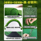 Renowned in Jiuzhou, simulated lawn carpet, fake turf bedding, plastic outdoor artificial court, artificial fence, artificial turf, 4 meters wide * 10 meters long, grass height 2 cm