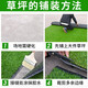 Famous Jiuzhou fake lawn simulated artificial turf plastic green carpet rooftop balcony roof sun room villa courtyard 1 meter wide * 5 meters long 1.5cm grass height