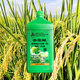 Sanliu Shanghai Tongrui 3% gibberellic acid gibberellin 920 fruit and vegetable weight-increasing seedlings and yield-increasing plant growth regulator 1000ml/bottle