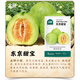 Beishu Melon Seeds Emerald Rock Sugar Seeds Croissant Honey White Sand Honey Spring Cantaloupe Seeds Beishu Tokyo Sweet Treasure Seeds 60 capsules 2 bags