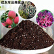 Onion, ginger, garlic, general soil cultivation, flower cultivation soil, nutrient soil, nursery soil, flowers, golden kudzu, special organic soil fertilizer, flower nutrient soil 30 Jin Jin equals 0.5 kg