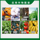 Guoguang 40% Ethephon Cotton Tomato Rice Banana Growth Ripening Agent Growth Regulator 500g