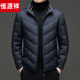 Hengyuanxiang Short Down Jacket Men's 2026 Winter Lightweight Stand Collar Down Jacket Casual Warm Duck Down Jacket Men Gray Green XL 180/92A