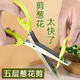 Home kitchen multi-layer onion scissors multi-functional stainless steel five-layer onion scissors vegetable scissors green onion cutter
