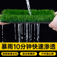 Renowned in Jiuzhou, simulated lawn carpet, fake turf bedding, plastic outdoor artificial court, artificial fence, artificial turf, 4 meters wide * 10 meters long, grass height 2 cm