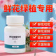 Chlorine dioxide flower effervescent tablets, disinfection tablets for flower arrangements, special preservative for flowers and green plants, deodorization, sterilization and water purification, flower water purification tablets, water purification and sterilization, extending the flowering period, live price, 1 bottle of 100 tablets