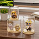 Fantasy Storage Display Rack Transparent Box Single Doll Ornament Cabinet Ladder Style 4 Pack