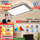 OPPLE Ceiling Lamp Living Room Lamp Eye Protection Full Spectrum Smart LED Lighting Fixture Simple and Attractive Yueming 5 Package Installation