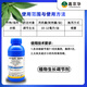 15% Prohexadione Calcium Uniconazole Plant Growth Regulator Rice Suspension Low Toxicity Control Leggy 100ml 3 Bottles