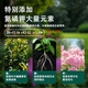Mongolian grass provenance nutritional soil coconut bran soil volcanic stone flower soil meaty sheep dung soil Phalaenopsis peat Clivia planting soil coconut shell 2.5kg universal 12L