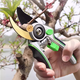 Jingxi Selected Pruning Shears for Home Gardening, Powerful and Labor-saving Thick Branch Scissors, Gardening and Floral Scissors, Upgraded Soft-coated Rubber Handle Pruning Scissors and Fruit Thinning Scissors.