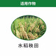 1% indolebutyric acid S-induced plant growth regulator for rice seedlings to promote rooting 500g*5 bottles