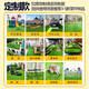 Simulated lawn carpet, artificial fake lawn, plastic green balcony, outdoor kindergarten bedding, courtyard artificial turf, environmentally friendly new material, 2cm encrypted spring grass, 1 meter wide*2 meters long