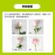 Carnation flowers Yunnan base straight hair Goddess Day gift bouquet multi-color flowering period long Chinese Valentine's Day gift 3 random color roses 10