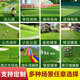 Famous Jiuzhou fake lawn simulated artificial turf plastic green carpet rooftop balcony roof sun room villa courtyard 1 meter wide * 5 meters long 1.5cm grass height