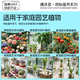Dewoduo plant nutrient solution universal hydroponic green plant flower potted flower fertilizer money tree orchid liquid fertilizer 600ml
