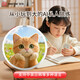 INNOTRIK AI oral training, one-on-one immersive English speaking practice, multiple scenarios, listening and reading tool, cat (white)