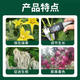 Zheng's Chemical 98% Sodium Nitrophenolate Original Powder Genuine Rooting, Strengthening Seedlings and Increased Yield Agricultural Flower and Fruit Preserving Plant Growth Regulator Quanfeng 98% Ammonium Ester 5KG