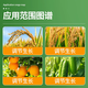 Guoguang Yunmeitai 0.01% brassinolide strong seedling fruit alleviation phytotoxicity foliar fertilizer plant growth regulator 500ml*1 bottle