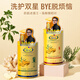 琴叶（Q&Y）侧柏叶生姜洗发水1000ml 经典P104 防脱育发 强根保养 韧发控油
