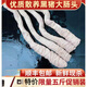 Large Intestine Farm Fresh Black Pig Intestine Raw Large Intestine 5 Jin Jin equals 0.5 kg with ice Native Pig Large Intestine 5 Jin Jin equals 0.5 kg Premium Pack