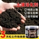 Soil Activator Activation Bao organically improved loose soil essence nutrient solution flower fertilizer microbial black water for flower cultivation 1 bottle 200g to improve soil/promote rooting