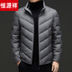 Hengyuanxiang Short Down Jacket Men's 2026 Winter Lightweight Stand Collar Down Jacket Casual Warm Duck Down Jacket Men Gray Green XL 180/92A