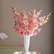 Pink gladiolus has high flowers, New Year's Eve flowers, Guangzhou sends Spring Festival decorations, Valentine's Day gifts, 65-70cm long, 5 pink gladioli flowers
