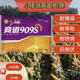 Nationally approved corn seed Shandao 909s high-yielding, disease-resistant, lodging-resistant, low-stem, big stick, high-quality early-maturing corn seed, 17 bags, 5 bags free