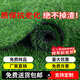 Renowned in Jiuzhou, simulated lawn carpet, fake turf bedding, plastic outdoor artificial court, artificial fence, artificial turf, 4 meters wide * 10 meters long, grass height 2 cm