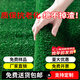 Famous Jiuzhou fake lawn simulated artificial turf plastic green carpet rooftop balcony roof sun room villa courtyard 1 meter wide * 5 meters long 1.5cm grass height